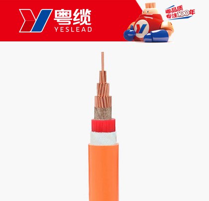 3499˹ά˹ԿʾԵBBTRZ