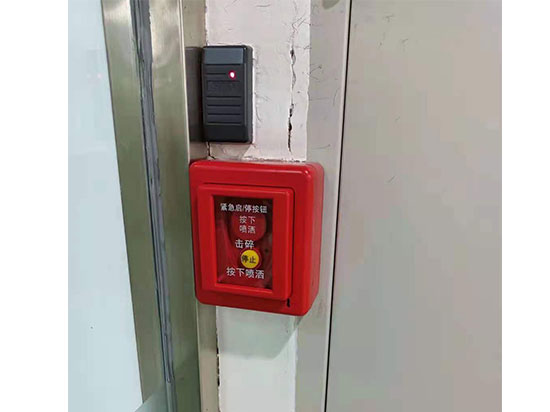 ͣť